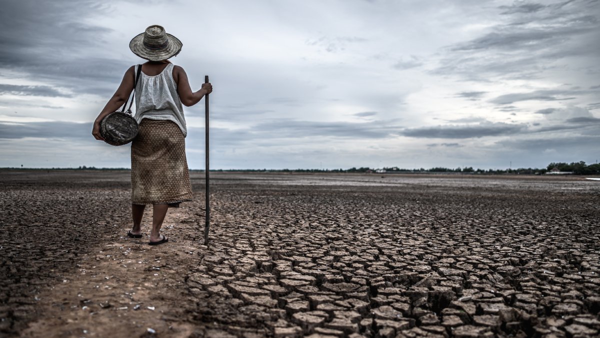 O planeta aquece em ritmo recorde, e a ação dos governos ainda é lenta demais (Fotos: Freepik)