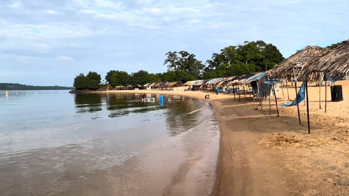 Mais de 80% do território de Altamira é coberto por floresta amazônica | Reprodução do YouTube | Turismo Aqui