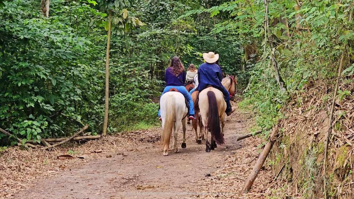 A segunda menor cidade do Brasil tem grande área rural