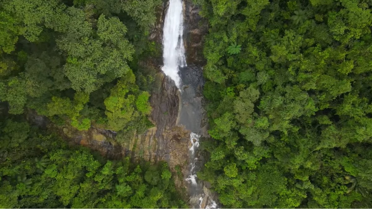 A visita é gratuita, mas é necessário agendar com antecedência pelo site do parque