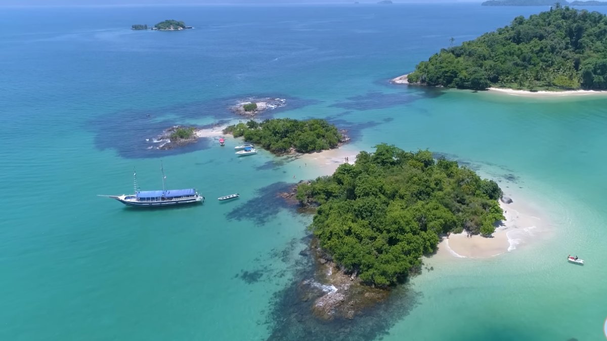 Passeios por trilhas conectam visitantes à biodiversidade da Mata Atlântica