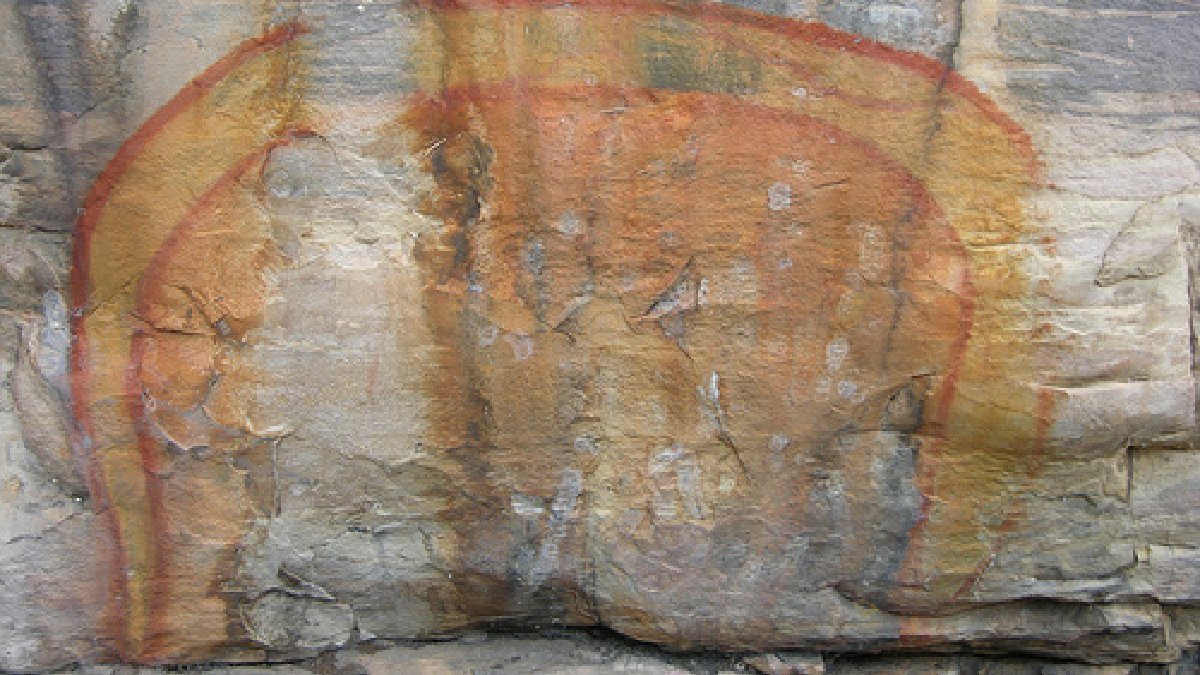 Os aborígenes acreditavam na cobra arco-íris, talvez inspirados na Wonambi. Imagem: Digitaltribes/Wikimedia Commons