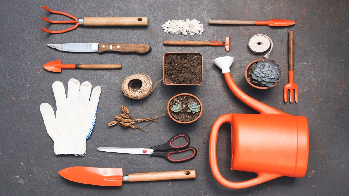 Ter seus próprios equipamentos de jardinagem é importante para começar