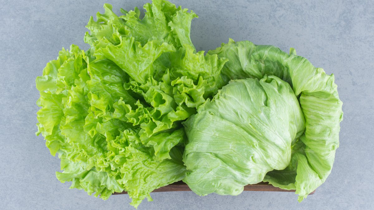 Vegetais folhosos: espinafre, couve e alface podem liberar nitratos ao serem aquecidos rapidamente, o que pode ser prejudicial à saúde. Cozinhar no vapor é mais seguro. Foto: Reprodução/Freepik