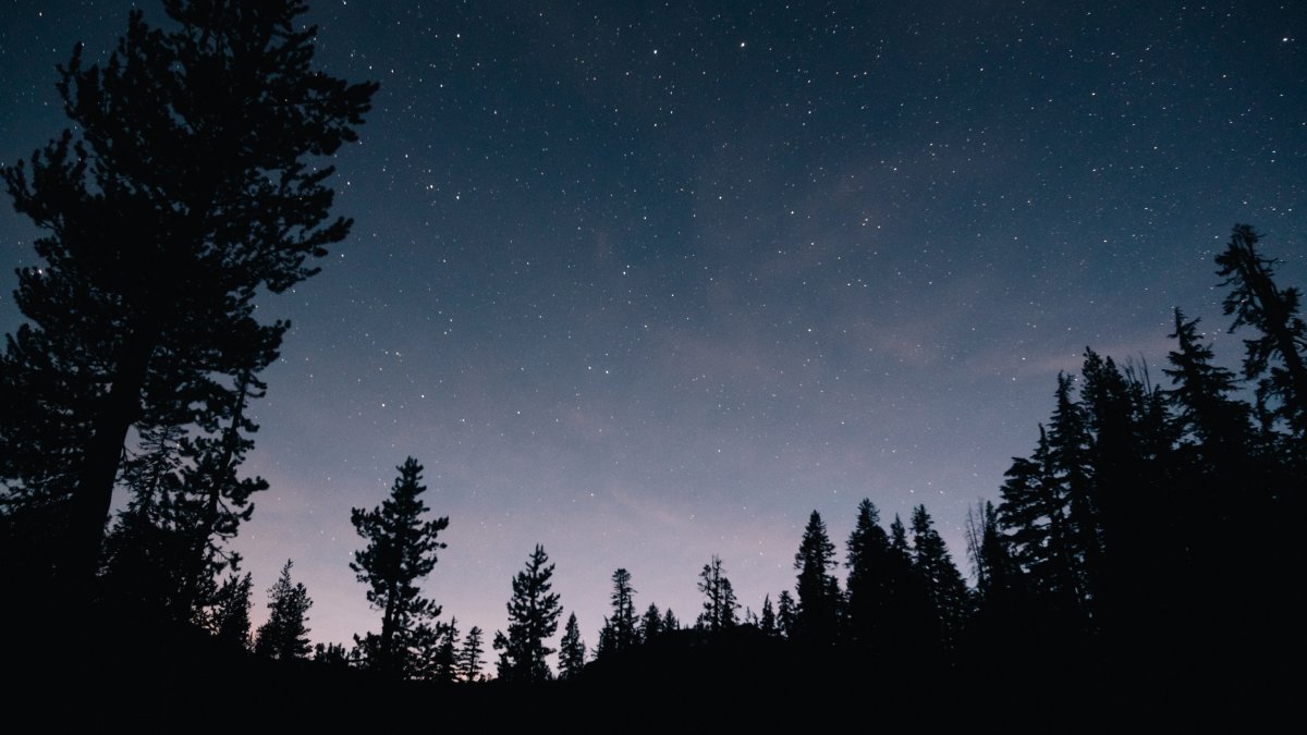 Observar o céu noturno aumenta a sensação de conexão com a natureza e melhora o bem-estar mental