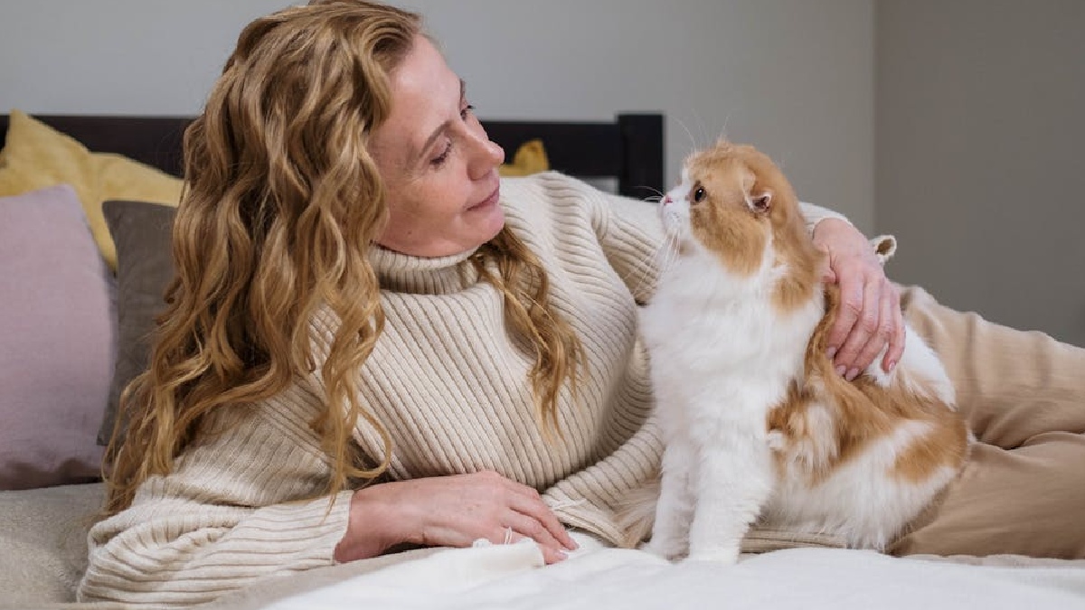 Uma curiosidade sobre os bichanos é a de que eles costumam ter uma pessoa preferida, não precisando ser necessariamente quem o adotou - (cottonbro studio/Pexels)