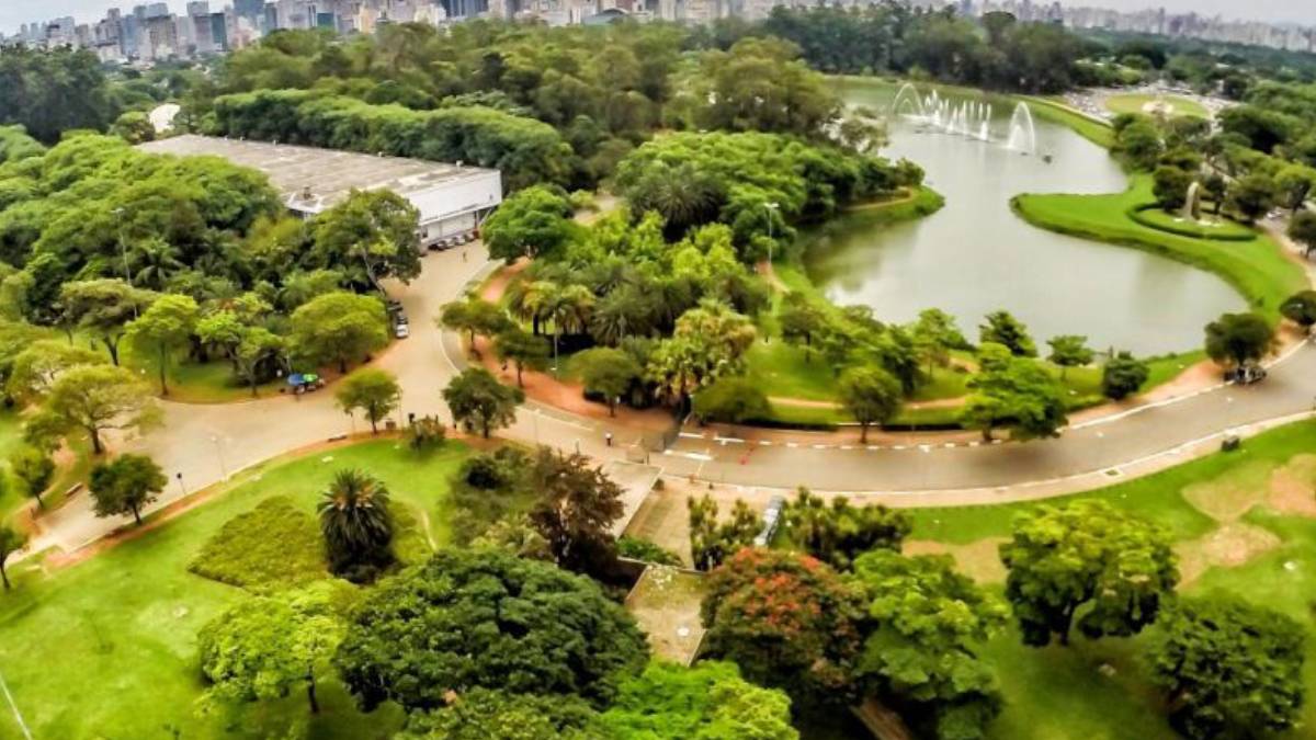 Parque Ibirapuera - O Ibirapuera é o parque mais icônico da cidade, combinando natureza com arte e arquitetura. Ideal para caminhadas, piqueniques ou visitas a museus como o MAM e o Museu Afro Brasil. Um refúgio verde em meio ao ritmo acelerado de São Paulo. Foto: Rafael Neddermeyer/Fotos Públicas