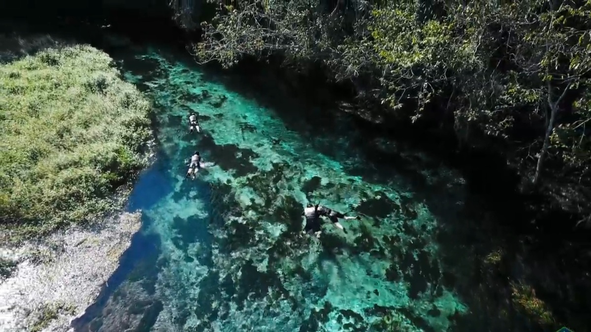 o rio Sucuri é o terceiro mais cristalino do planeta - reprodução: YouTube