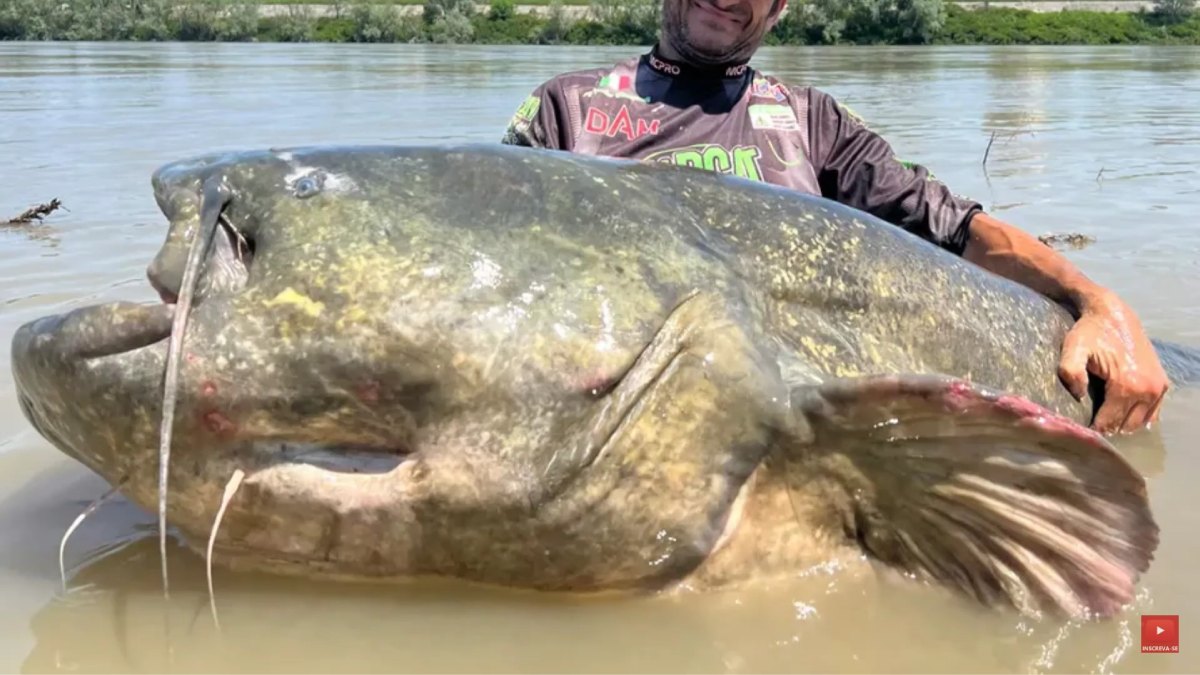 Alessandro Biancardi foi o responsável pela pesca do bagre de 2,85 metros