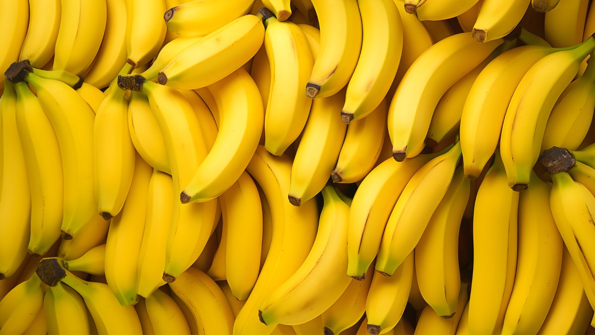 Dicas simples ajudam a manter as bananas frescas por mais tempo