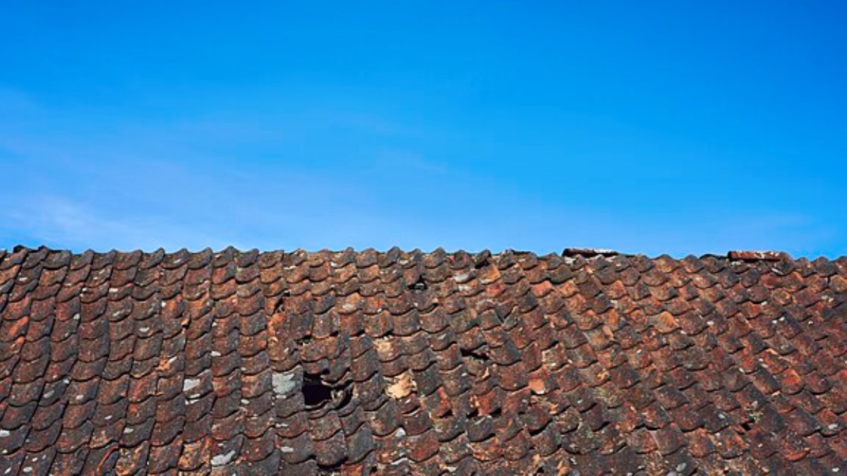 Esse método, que consiste em aplicar o novo material diretamente sobre a telha existente, tem ganhado espaço no mercado da construção civil e promete ter uma série de benefícios.