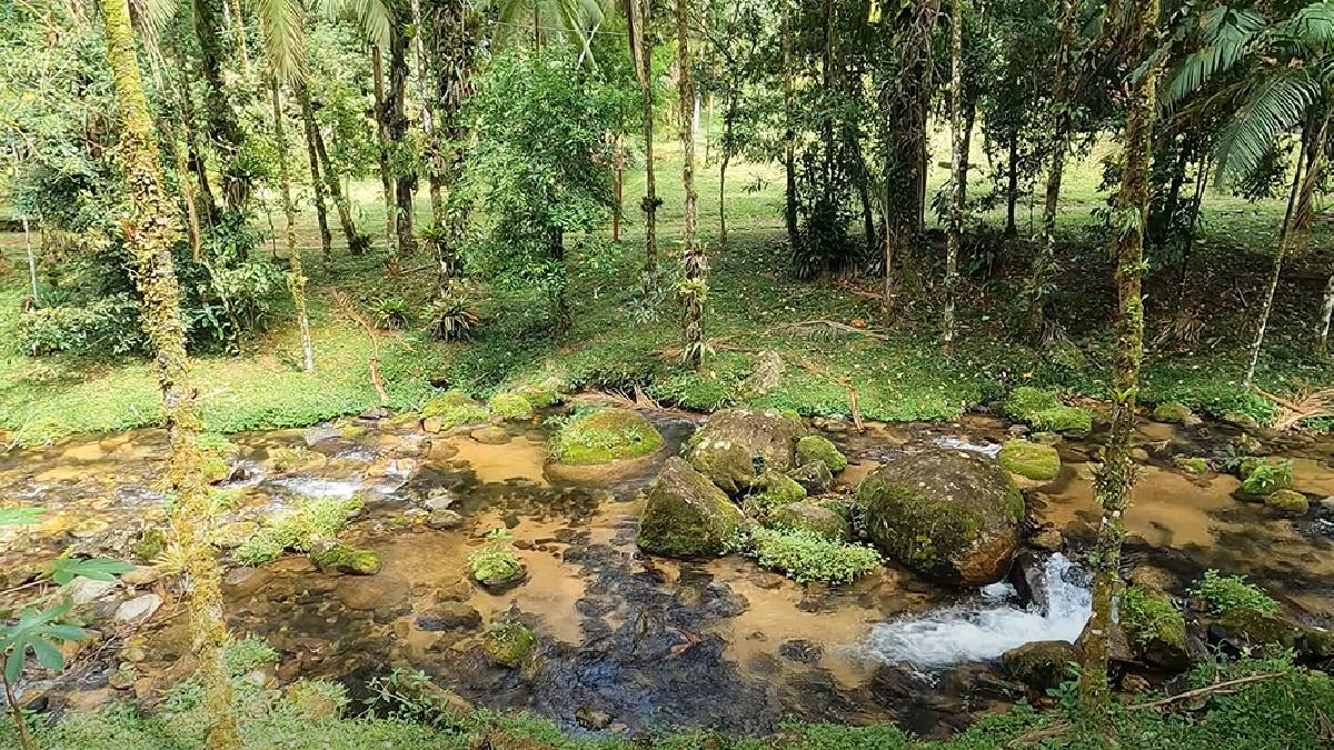 Calmo e tranquilo, é o destino perfeito para quem quer fugir da agitação | Reprodução YouTube | Adriano Oda