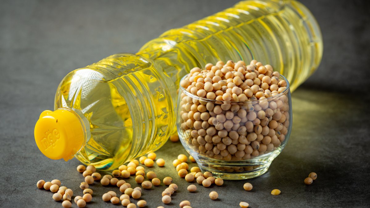 O óleo de canola é um poderoso antioxidante (Fotos: Freepik)