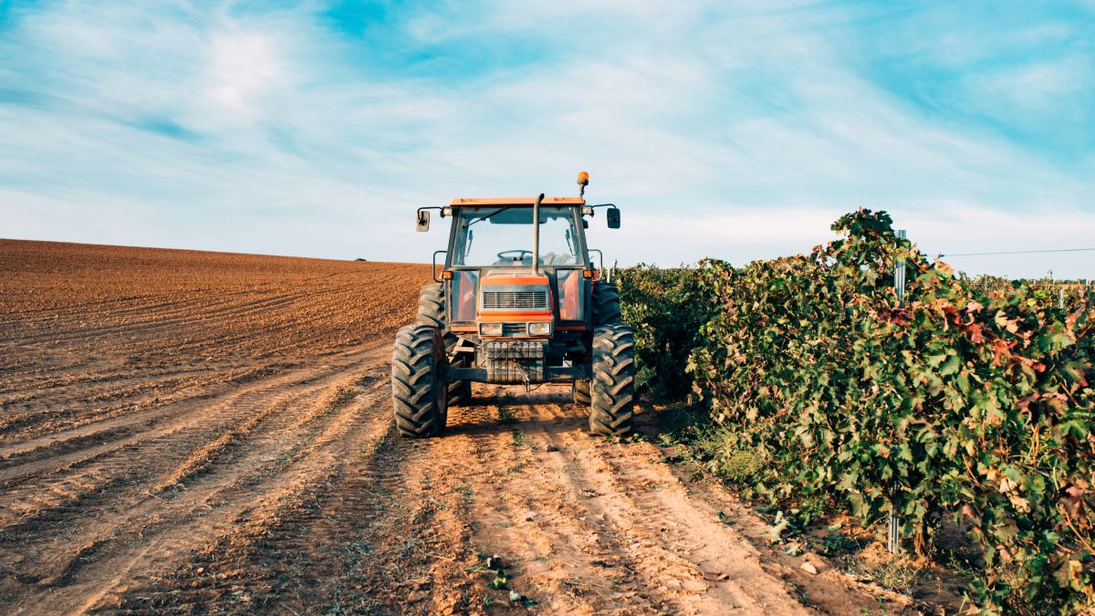 O fluxo de nitrogênio e fósforo vem sendo ultrapassado pela forte produção da agricultura (Fotos: Freepik)