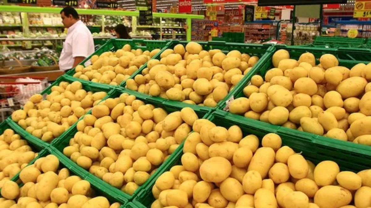 Batata registrou a segunda queda consecutiva, com recuo médio de 31,61% nos 11 mercados analisados. Foto: Divulgação/Fotos públicas