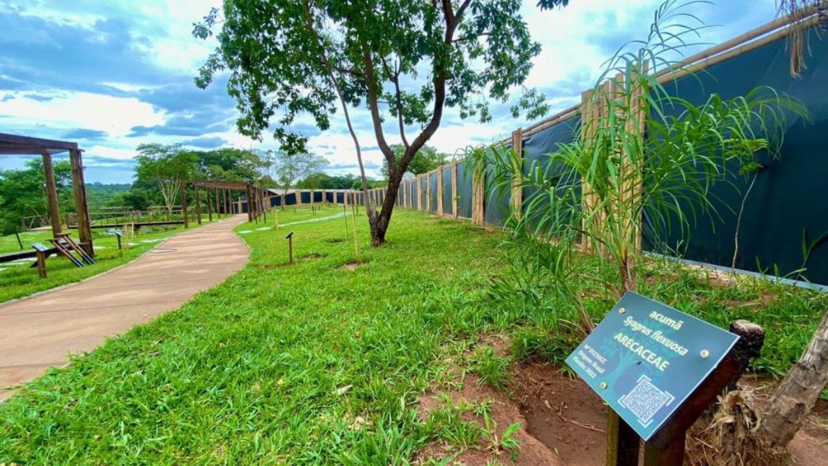 Jardim Botânico Municipal: com 321 hectares preservados e entrada gratuita, inaugurado em 1994, possui trilhas ecológicas, lagos naturais e rica biodiversidade da flora regional, sendo um dos cartões-postais da cidade. Foto: Divulgação/Prefeitura de Bauru