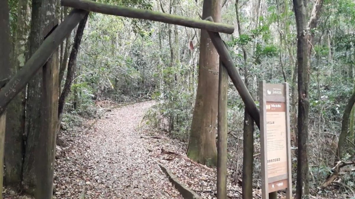 Também na Cantareira, a Trilha da Bica é uma opção mais curta e acessível
