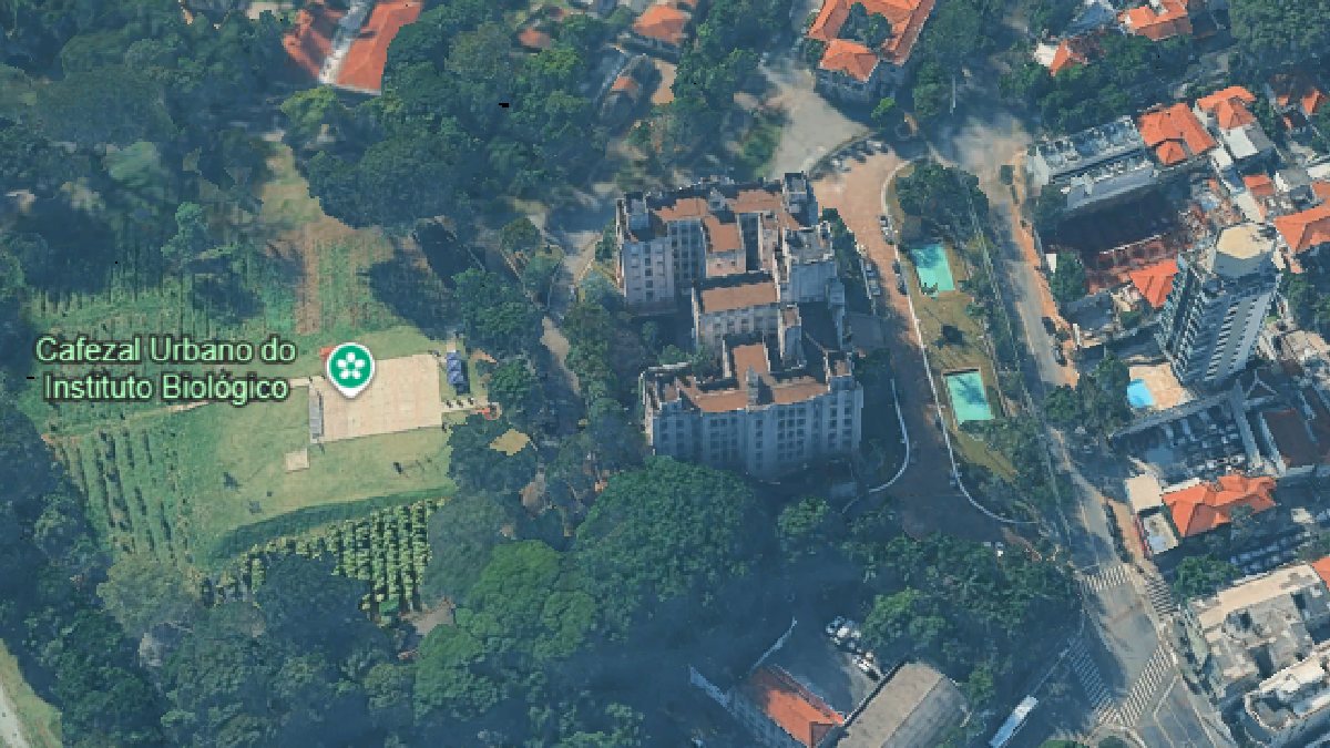 Cafezal fica escondido dentro da cidade. Imagem: Reprodução Google Earth