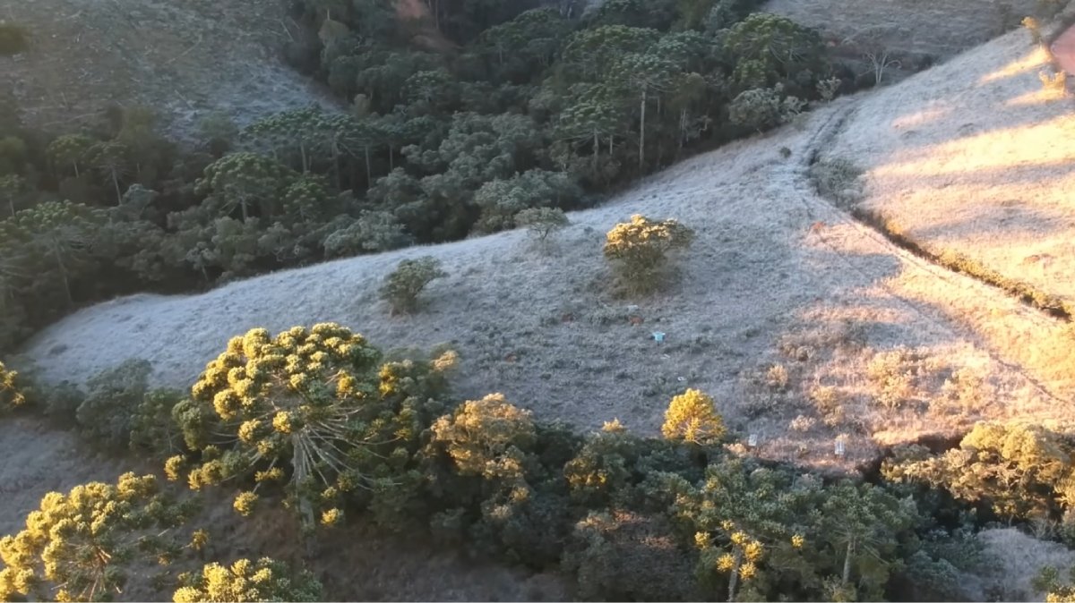 Localizada na Serra da Mantiqueira, Delfim Moreira já registrou -10°C
