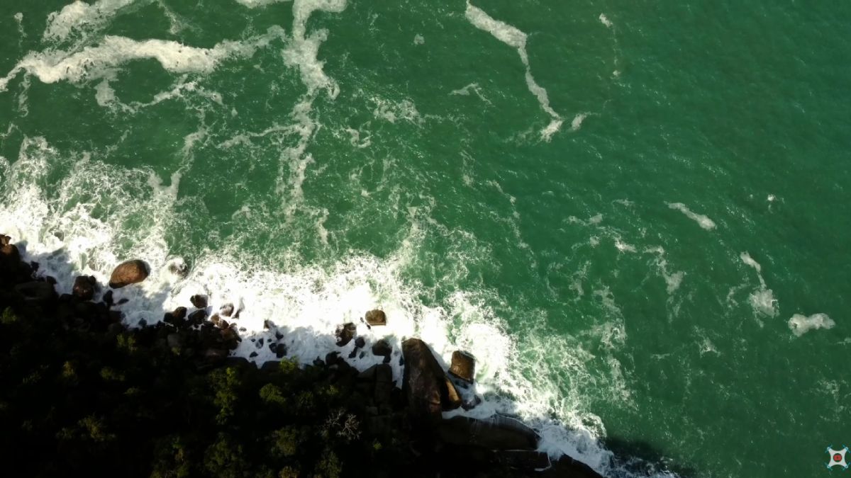 Mar calmo e raso é ideal para mergulho e observação de tartarugas