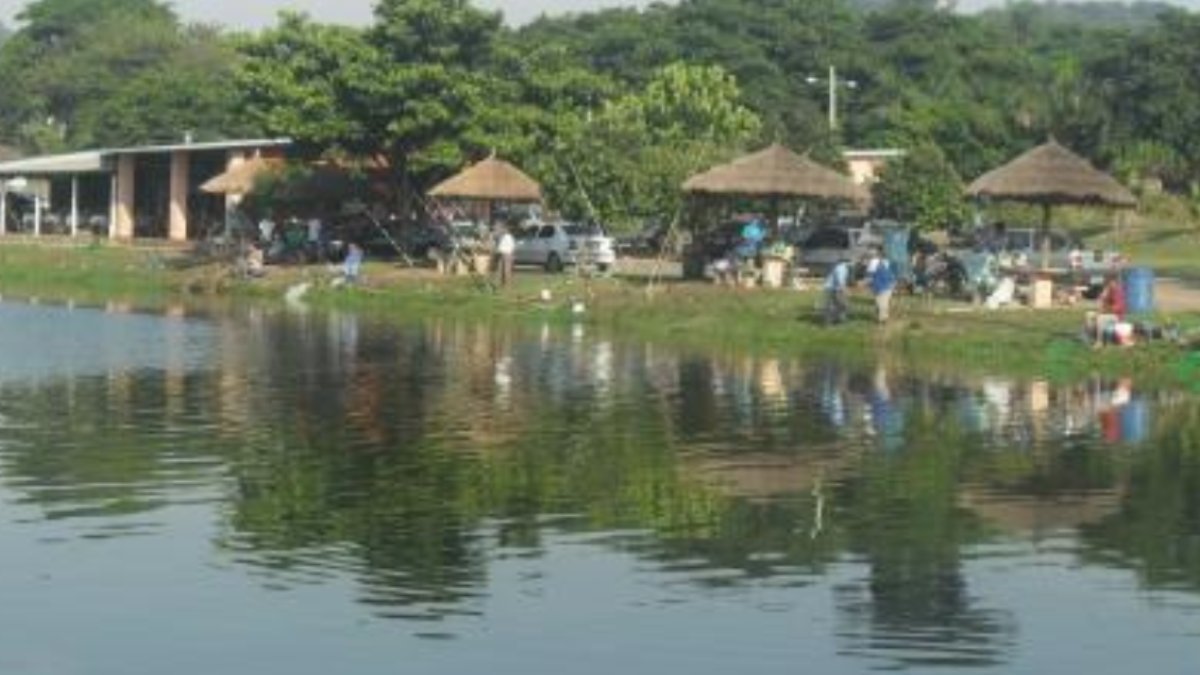 O Pesqueiro do Marco é amplamente reconhecido como uma referência de pesca em São Paulo. Sua reputação se baseia por sua grande variedade de peixes, incluindo espécies como: piraquara, tilápia, pacu, carpa, traíra, dourado, pirarara, tambaqui, pintado, matrinxã, carpa e pirapitinga. Endereço: Rodovia Americana-Paulínia, km 1,7 Zona Rural, Paulínia São Paulo Fotos: Reprodução/Divulgação