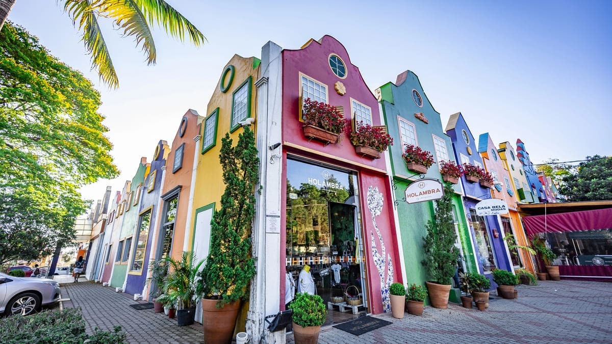 Chamada de "Cidade das Flores", Holambra, também no interior de São Paulo, é conhecida por suas paisagens instagramáveis e por ser a maior produtora de flores e plantas ornamentais da América Latina - (depositphotos)
