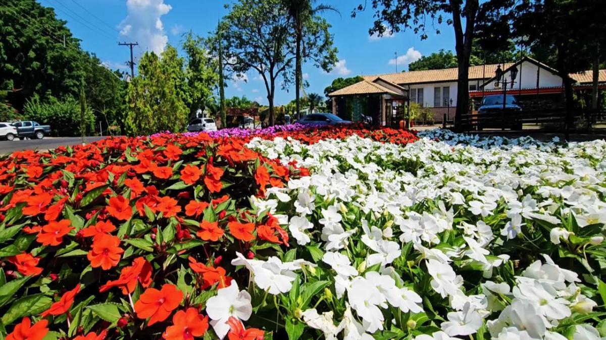 Holambra é conhecida como a "Capital das Flores" e concentra o maior polo de produção e comercialização de flores da América Latina