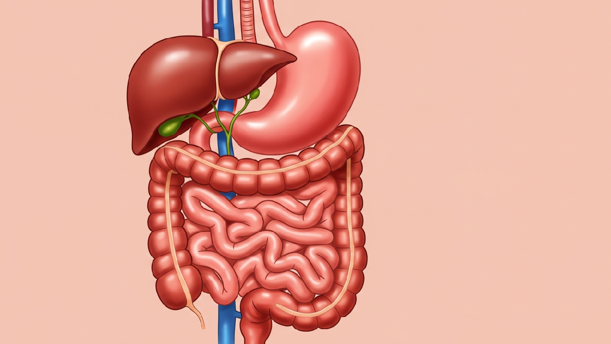 Pitaya tem propriedades antioxidantes e melhora todo o intestino. Imagem gerada por inteligência artificial