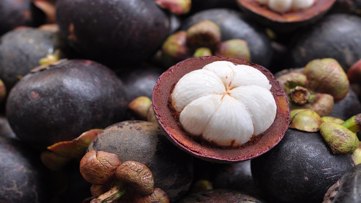 Embora exótica, o cultivo desta fruta é prático
