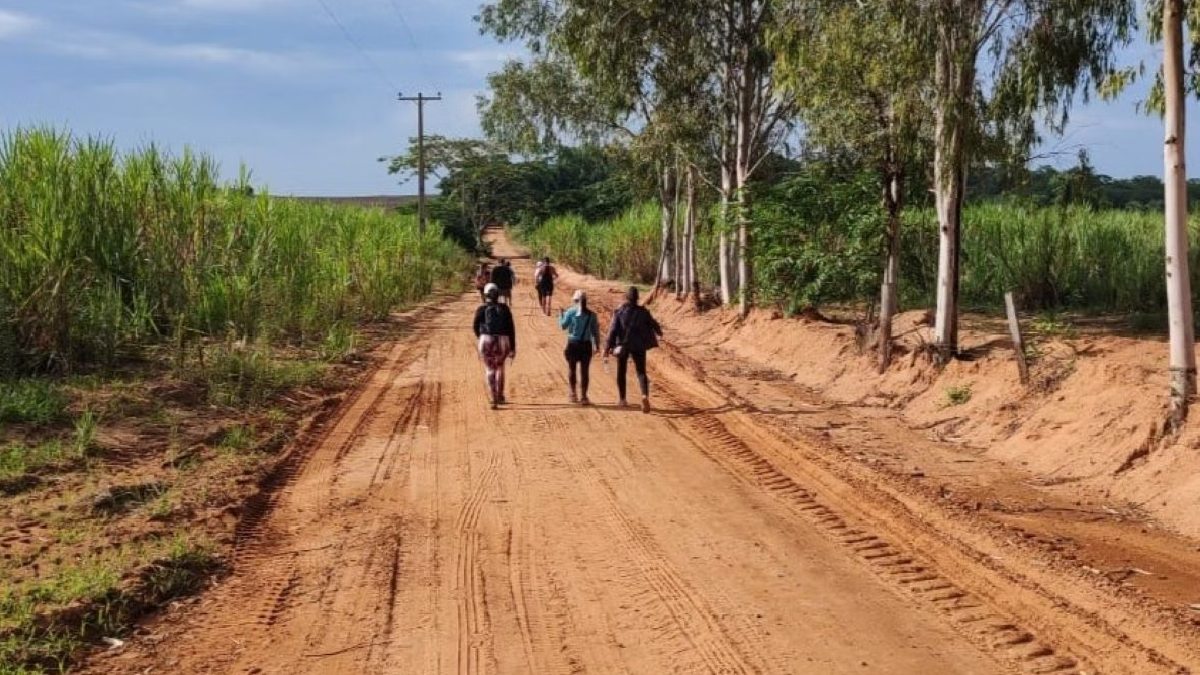 Cidade tem 4,7 mil habitantes, segundo o Censo 2022 do IBGE, e fica a cerca de 300 km da capital paulista.