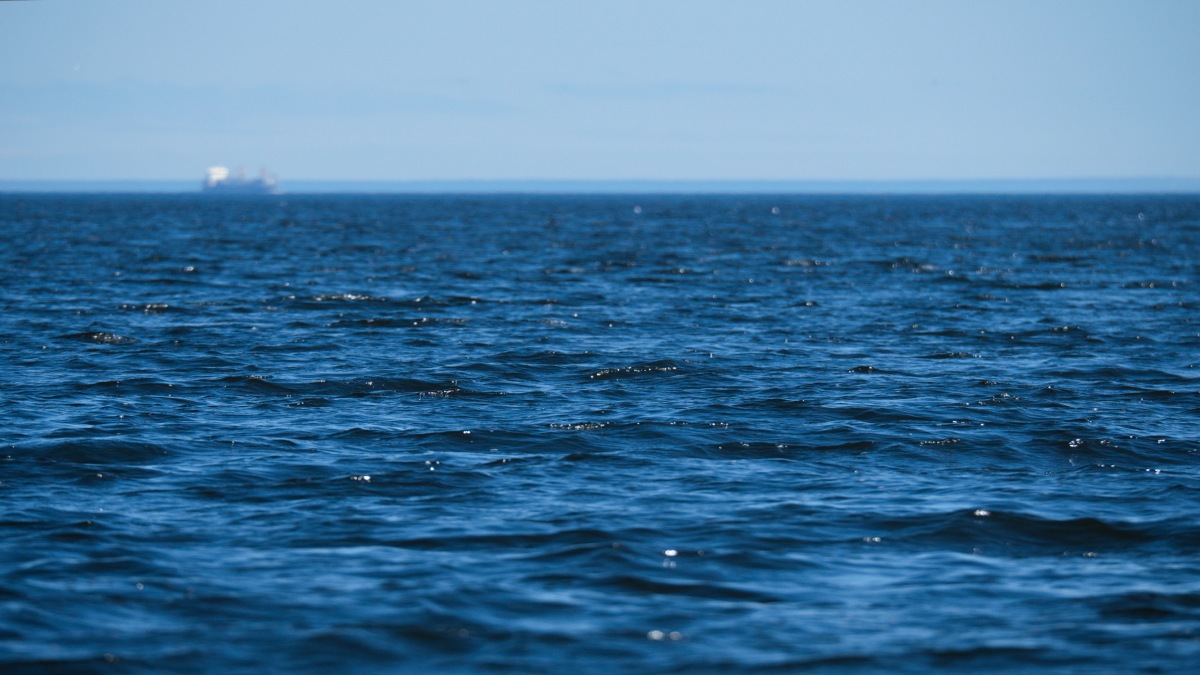 Seis já foram ultrapassados, e dois estão no extremo: poluição do ar e acidificação dos oceanos