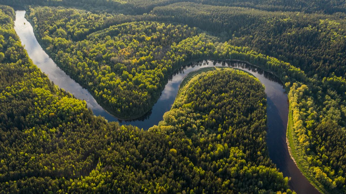 O Rio Amazonas transporta sozinho cerca de 20% da água doce superficial do planeta, com vazão média de 210 mil m³/s. Foto: Ushplash/Ivars Utināns