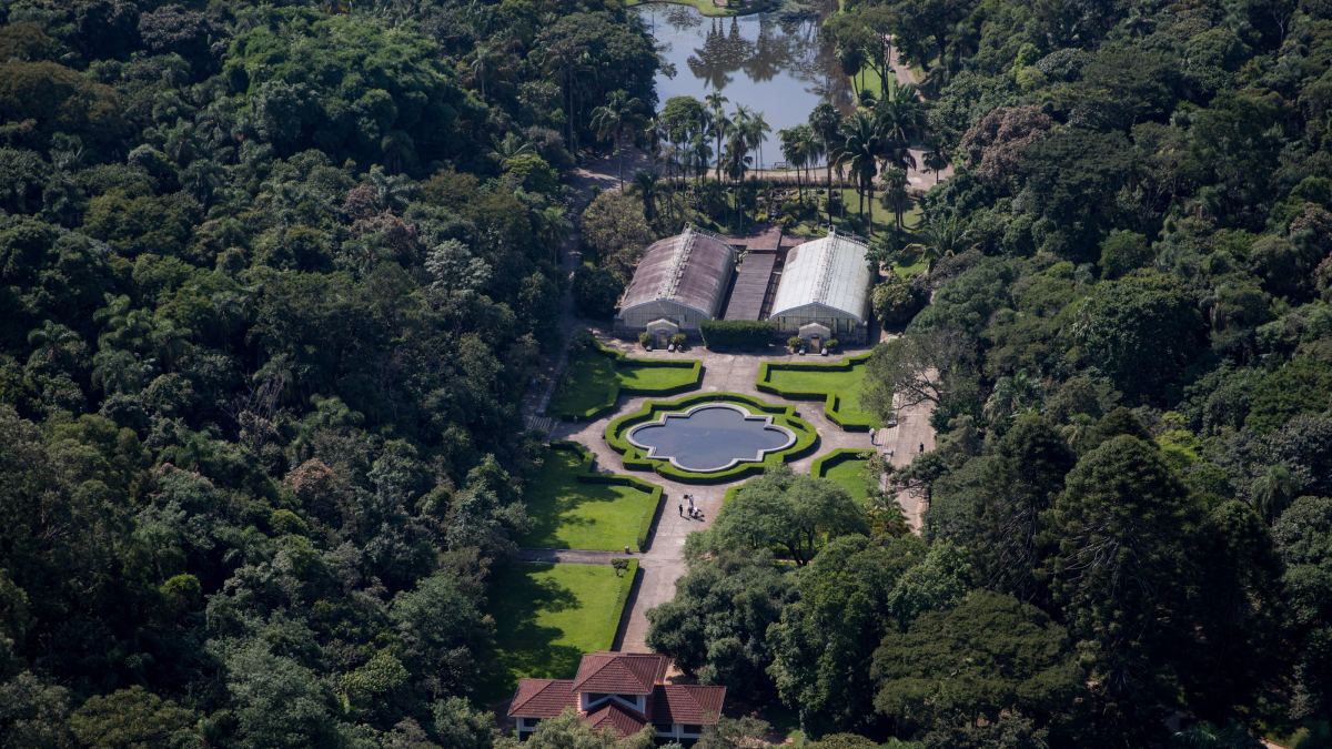 Jardim Botânico de São Paulo: Uma excelente pedida para passeios em família, o Jardim Botânico foi fundado em 1928 e possui 146 hectares. Seus visitantes podem explorar estufas, lagos, bosques e trilhas. 