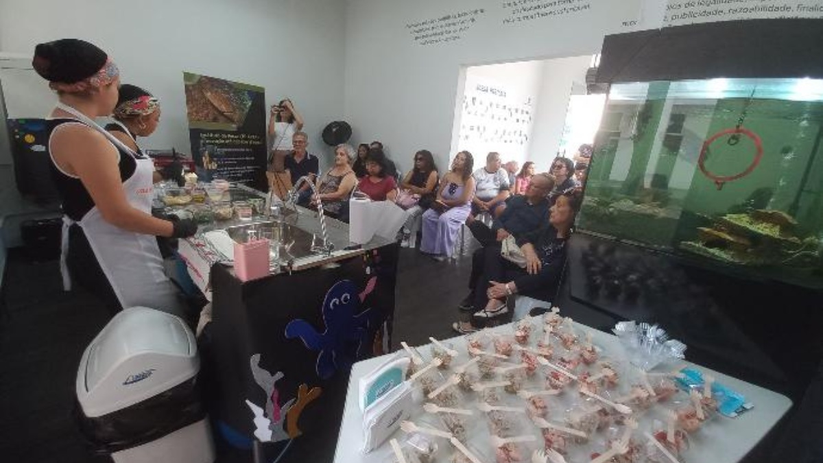 Festa terá oficinas com especialistas em diversas áreas e workshops de culinária com receitas à base de pescado. /Foto: Divulgação/Instituto de Pesca/Governo do Estado