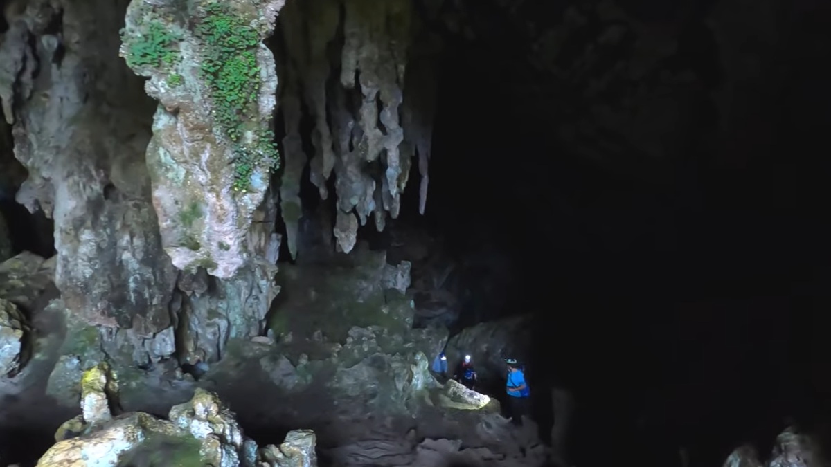 Para os exploradores, diversas cavernas possuem passarelas e escadas, facilitando o acesso. Já outras demandam preparo físico para encarar rios subterrâneos e trilhas mais desafiadoras. Observação de aves, fotografia e educação ambiental completam a experiência.