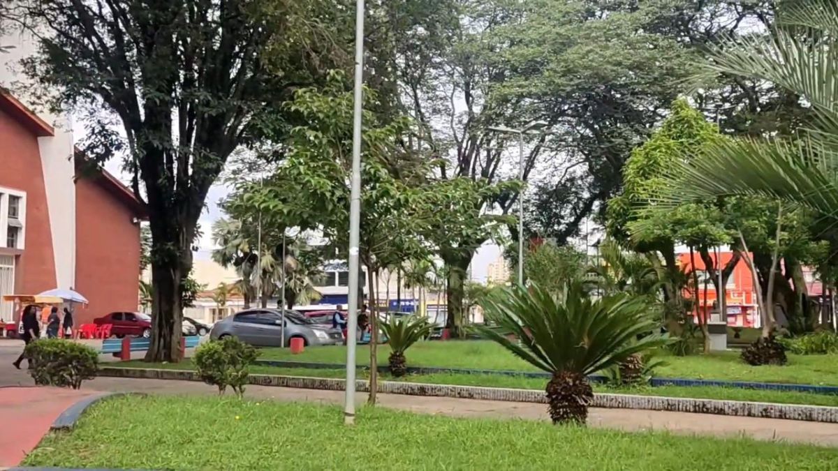 Suzano ganhou fama pela produção de azaleias, que pintam a cidade de cores vibrantes na época de floração