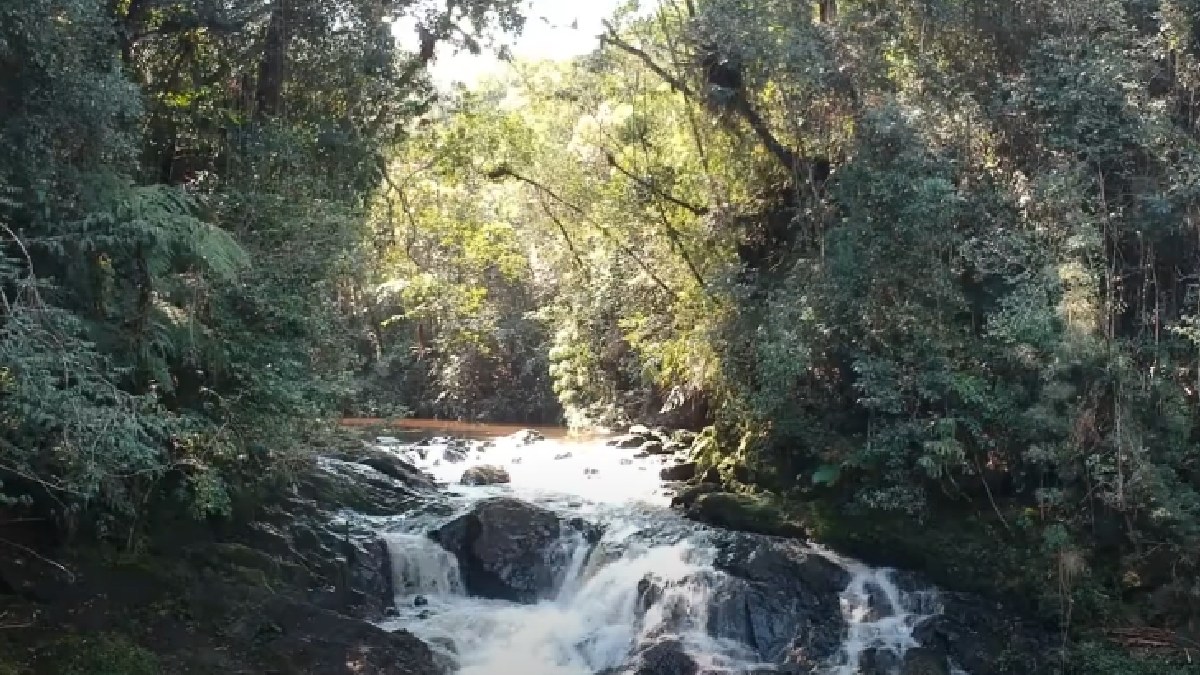 Cachoeira do Sagui - No extremo sul da Capital, ela está localizada dentro da Fazenda Maravilha, uma propriedade particular que é área de preservação ambiental, é um local de fácil acesso. Para chegar até lá, é necessário fazer uma trilha, que tem um trajeto tranquilo, mas, agradável para os interessados. Endereço: Estrada Engenheiro Marsilac (partindo do bairro de Parelheiros, basta seguir pela estrada) - (Reprodução/YouTube)