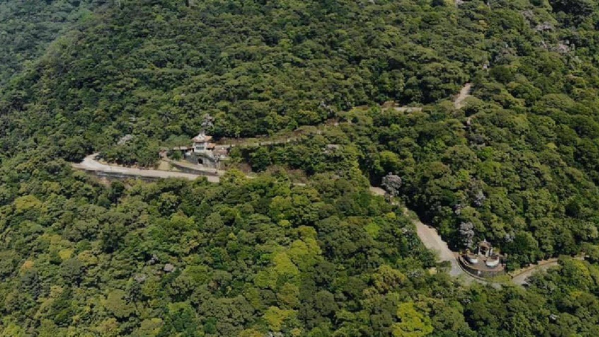 Trilha Caminhos do Mar: Próximo da Capital, o Parque Estadual da Serra do Mar organiza trilhas interessantes para quem deseja aproveitar a natureza. Uma delas é a Trilha Cachoeira da Torre, que possui cerca de nove quilômetros de extensão, e tem duração média de seis horas. Endereço: Endereços: Caminho do Mar, Km 42 Alto da Serra São Bernardo do Campo | Estrada Caminho do Mar, Km 50 Cruzeiro Quinhentista Cubatão - (Reprodução/Facebook/Trilha Caminhos do Mar)