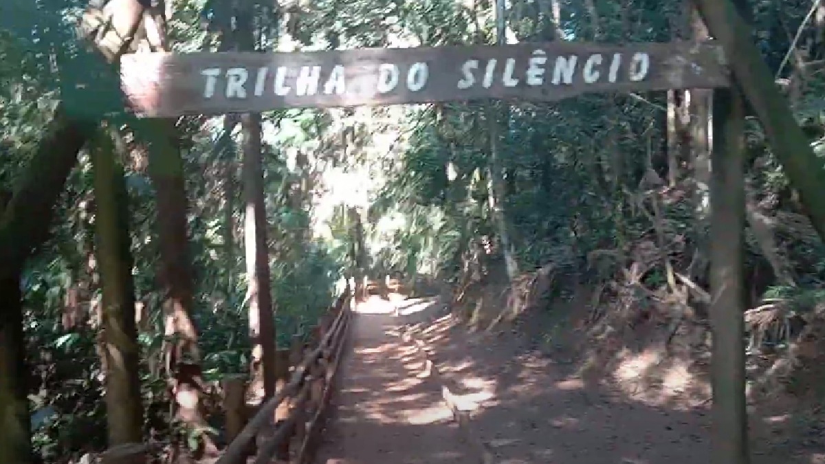 Trilha do Silêncio - O nome da trilha se deve à presença de uma vasta vegetação que abafa a maior parte dos ruídos produzidos pelas rodovias que cercam o parque do Jaraguá. Uma opção tranquila e que vale a pena ser aproveitada sozinho ou em família. Endereço: Rua Antônio Cardoso Nogueira, 539 Vila Chica Luiza - (Reprodução/YouTube)