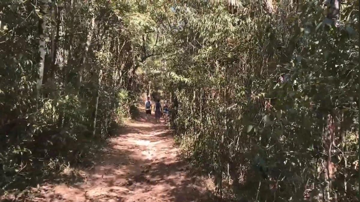As trilhas de Itararé são planejadas para conectar os visitantes à diversidade ambiental da região (Fotos: Youtube/Reprodução)