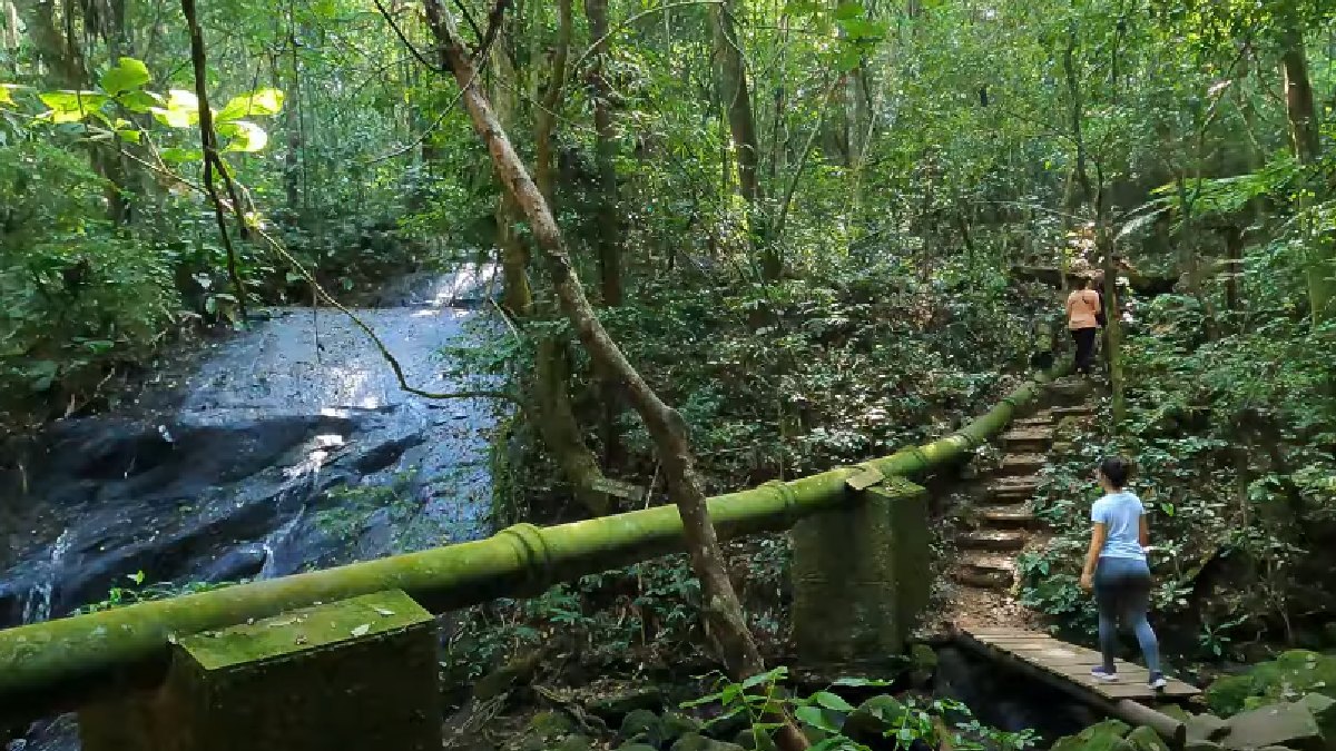 Trilha da Cachoeira Núcleo Engordador - A Trilha da Cachoeira, no Núcleo Engordador, ainda em São Paulo. Com duração aproximada de 1h30, a trilha é autoguiada. O trajeto reveza entre subidas e descidas e passa por muitas árvores, riachos e três quedas d'água. Endereço: Av. Cel. Sezefredo Fagundes, 19100 - Jardim Cachoeira, São Paulo - (Reprodução/YouTube)