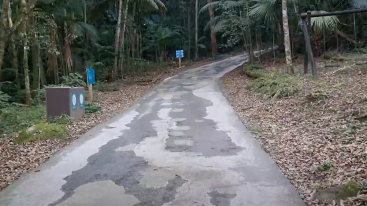 Trilha da Pedra Grande - Na zona norte da Capital, dentro do Parque Estadual da Cantareira, há mais uma trilha que deve interessante os amantes deste tipo de hobbie, especialmente para quem ama ficar mais próximo da natureza. Endereço: Rua do Horto, 1799 Horto Florestal - (Reprodução/YouTube)