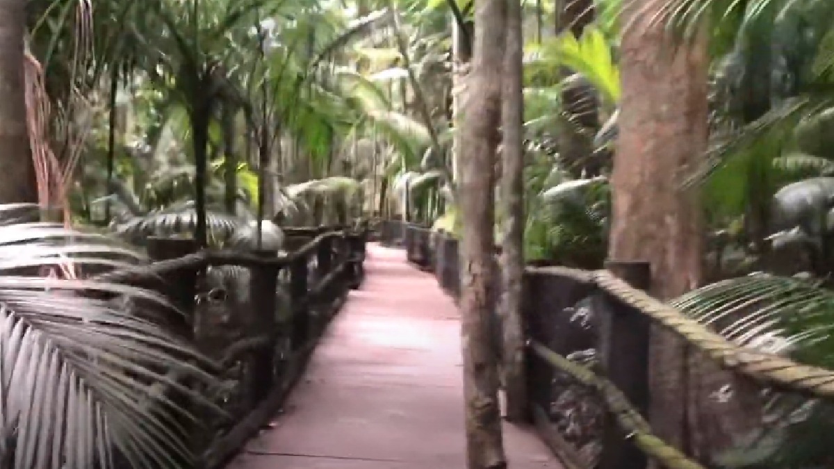 Trilha da Nascente - Dentro do Parque Estadual das Fontes do Ipiranga, no Jardim Botânico, a Trilha da Nascente é uma opção perfeita para um trajeto leve e aconchegante, por meio de um percurso de 720 metros entre ida e volta. Ao chegar no fim do trajeto, é possível a visitar a nascente do rio Ipiranga. Endereço: Avenida Miguel Estefano, 3031 Água Funda - (Reprodução/YouTube)