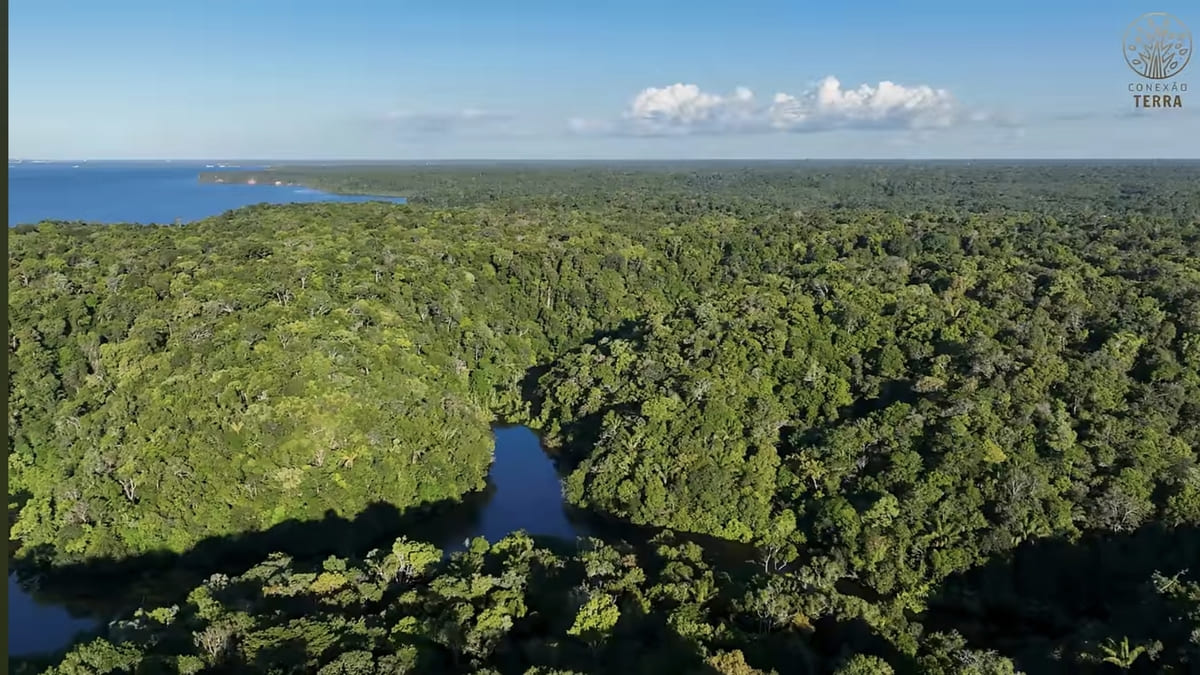 Segundo o National geographic a cidade de Lamego é uma cidade fantasma no meio da Amazônia - Freepik