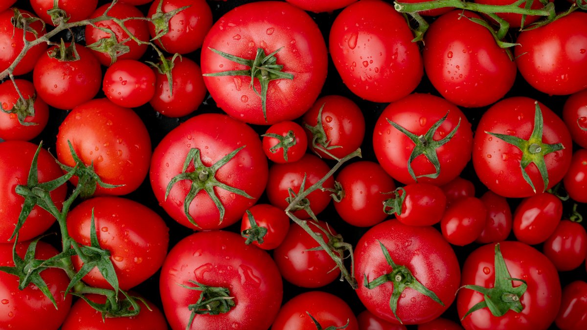 5- Tomates (Fotos: Freepik)