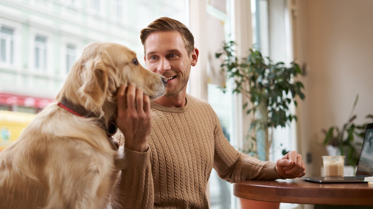 Conversar com animais reflete empatia, imaginação e inteligência emocional, segundo especialistas