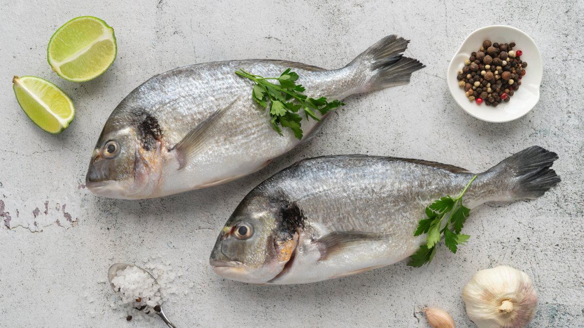 Peixes gordurosos, como salmão e atum, ricos em ômega-3, fundamentais para memória e concentração.