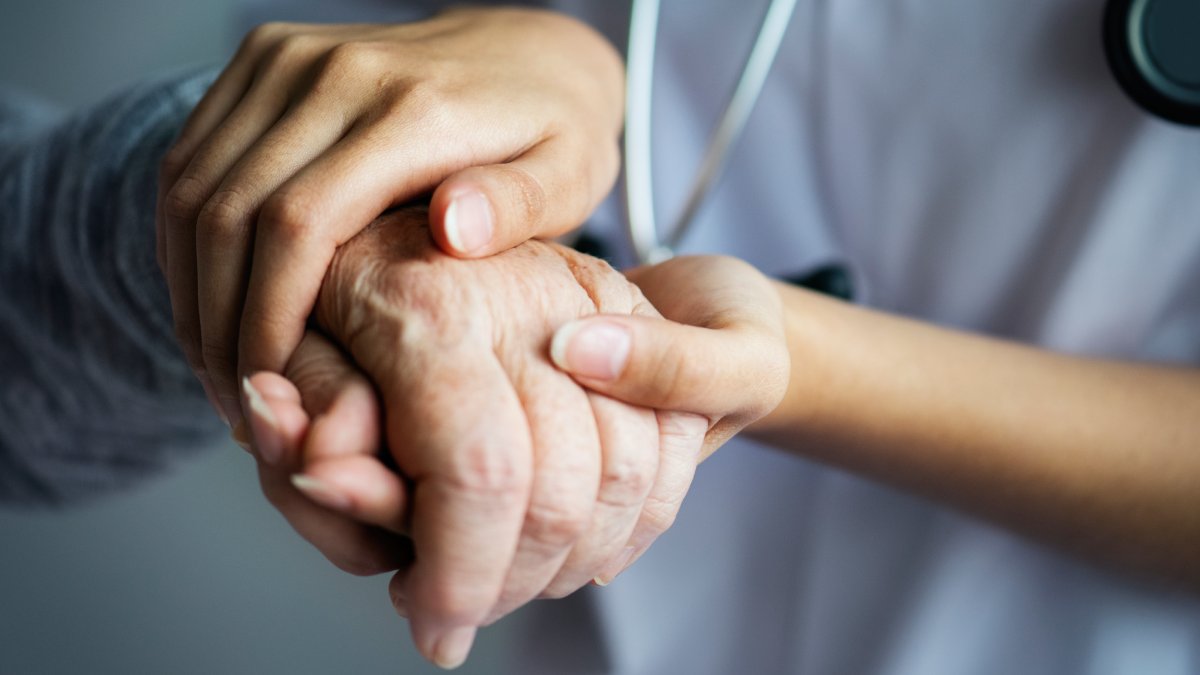 A lista reconhece 12 especialidades médicas, como cardiologia, oncologia, neurologia, pediatria, entre outras (Fotos: Freepik)