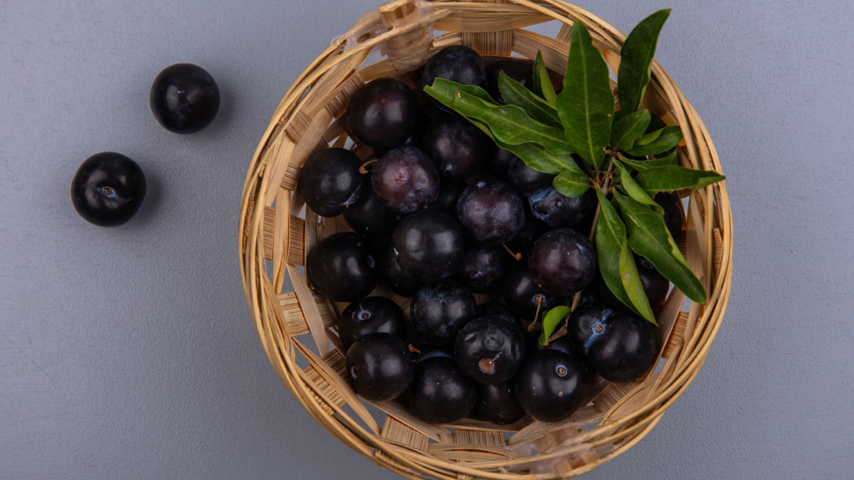 8. Jabuticaba (4.5) /Foto: Stockking/Freepik