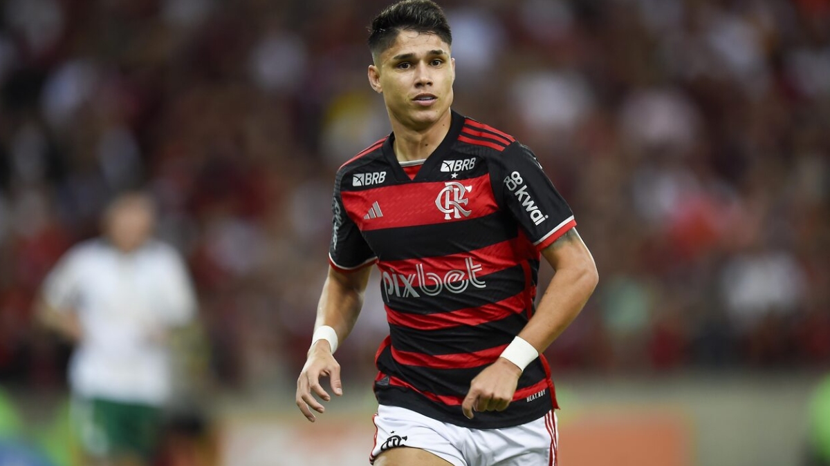 Luiz Araújo chegou ao Flamengo, em 2023, por nove milhões de euros - (Marcelo Cortes/CRF)
